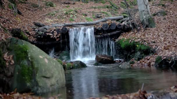 Ett litet vattenfall i bergen hösten skogen med gult bladverk och mossiga stenar — Stockvideo