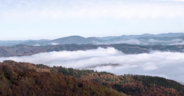 Mystique brouillard côtier roulant sur le pin couvert Mountain Ridge Slow Panning Shot — Video