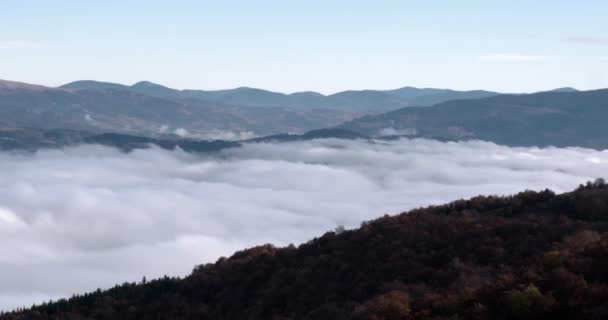 Mistyczne przybrzeżnych mgła przewraca się Drzewo sosny pokryte Grzbiet górski powolne przesuwanie strzał — Wideo stockowe