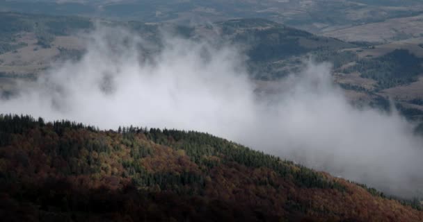 Podzimní ranní mlha mlha stoupá nad borovicemi a buky zahrnuty karpatský horský hřeben ot Sunrise — Stock video