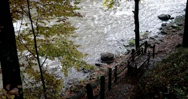 Las hojas de otoño caen en un río de montaña fangoso escénico — Vídeos de Stock