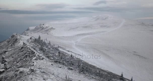 Panorama de la neige sur le paysage montagneux des Carpates — Video