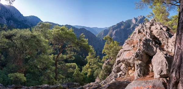 Günbatımında yolu ile Türk yeşil çam ormanı içinde Likya yolu