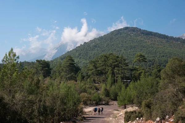 Yolun ortasında tarafından gidiş sırt çantaları ile grup genç turist zamları