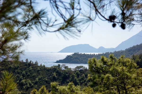 Türk Akdeniz, Türkiye, görüldü fr ıssız koyda