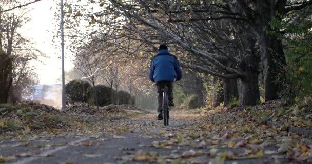 自転車に乗っている自転車の距離、公園の路地と黄紅葉 — ストック動画