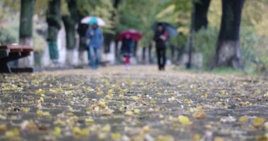 Yağmur damla düşen üzerinde sarı yaprakları yakın görünümü ile bulanık insanlar yürüyüş ile şemsiye içinde belgili tanımlık geçmiş