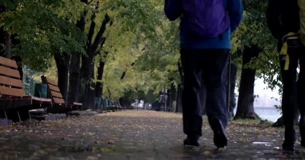 Pareja con mochilas y paraguas a pie por el callejón de otoño bajo la lluvia — Vídeos de Stock