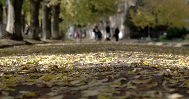 Herbstblätter auf Kopfsteinpflaster. der Fokus auf Herbstblätter und aus dem Fokus geratene Menschen im Hintergrund — Stockvideo