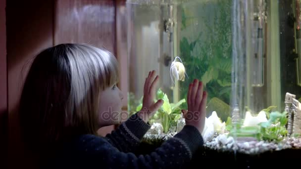 Petite fille mignonne regarder escargot jaune rampant sur verre d'aquarium — Video