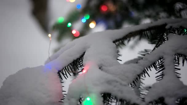 Venkovní vánoční strom zdobí zářící dovolená věnec mezi sněhem se jehličnatého lesa na zimu — Stock video