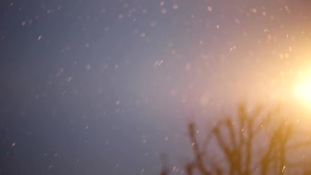 Neige - Flocons de neige qui tombent doucement Flou au ralenti rêvé — Video