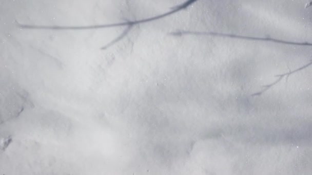 Pov of Man Caminando en Polvo Nieve Durante el Invierno — Vídeos de Stock