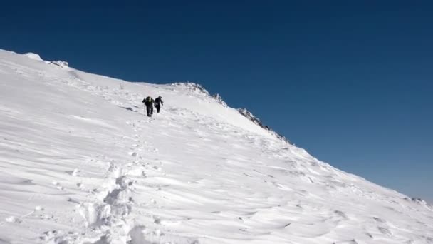 Voyageurs avec sacs à dos Faites une randonnée hivernale au-dessus des nuages avec vue sur les sommets lointains près d'une côte de la mer des nuages — Video