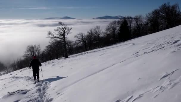 Voyageurs avec sacs à dos Faites une randonnée hivernale au-dessus des nuages avec vue sur les sommets lointains près d'une côte de la mer des nuages — Video
