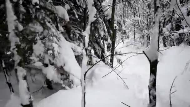 Wyjazd zimowy przez las. Chodzenie na ścieżkę wewnątrz lasu pokryte ciężkiego śniegu. Góry Las Krajobraz. Widok z tyłu Pov — Wideo stockowe