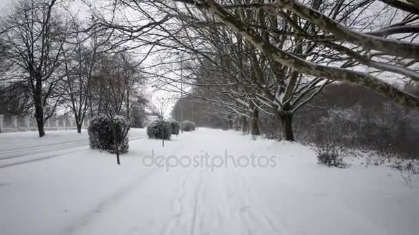 Gimbal estabilizado Pov Shot de alguien caminando por el callejón cubierto de nieve, Avenida en el Invierno Embankment — Vídeo de stock
