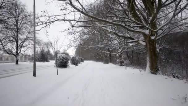 Steadicam Pov Tiros de Alguém Passando por Neve-Coberto Alley, Avenida no Inverno Embankment — Vídeo de Stock