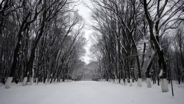Steadicam Pov Shot de Alguien Caminando por el Callejón Cubierto de Nieve, Avenida en el Invierno Embankment — Vídeos de Stock