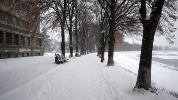 Steadicam zeigt jemanden, der durch eine verschneite Allee am Winterdeich geht — Stockvideo