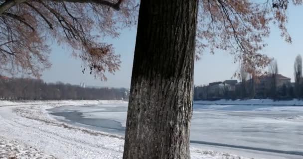 Walking by Snow Covered Embankment Alley, Avenue at Sunny Winter Day. Side View Gimbal Stabilized Pov Shot — Stock Video