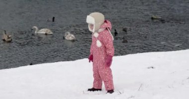 3 yıl yaşlı kız vahşi besleme ördekler ve kuğuları kış nehir, kuşlar