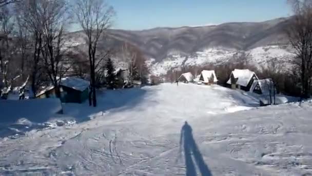 Snelle skiër rijdt van de besneeuwde hellingen op een ongerepte dag op de berg met heldere luchten en besneeuwde bomen aan de kant — Stockvideo