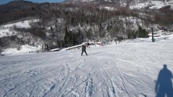 Snelle skiër rijdt van de besneeuwde hellingen op een ongerepte dag op de berg met heldere luchten en besneeuwde bomen aan de kant — Stockvideo