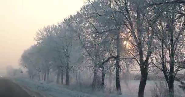 Auto fahren Sicht auf Winter Morgen neblig Straße mit Sonne am Himmel Auto Frontscheibe Blick in den frühen Morgen neblig Sonnenaufgang Fernweh — Stockvideo