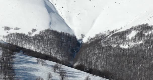 Panning Πανόραμα σε σκόνη καλύπτονται βουνό με μονοπάτια για σκι στο χιόνι δάσος αγροτικό τοπίο στην ηλιόλουστη μέρα του χειμώνα — Αρχείο Βίντεο