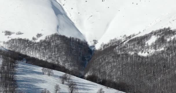 在阳光明媚的冬日平移全景粉覆盖山与雪森林乡村景观的滑雪道 — 图库视频影像