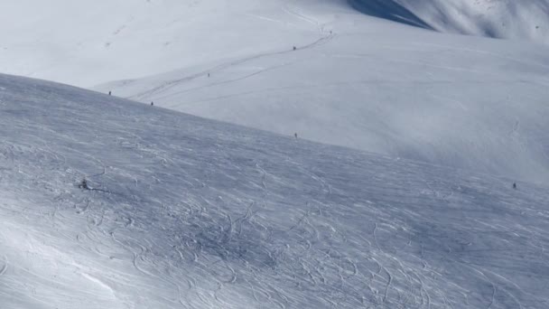 Een Freestyle skiërs en Snowboarders kosten beneden een perfecte poeder overdekte berg — Stockvideo