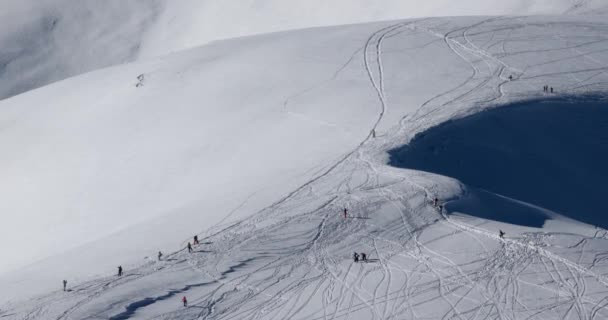 Un estilo libre esquiadores y snowboarders cargas abajo un polvo perfecto cubierto montaña — Vídeo de stock