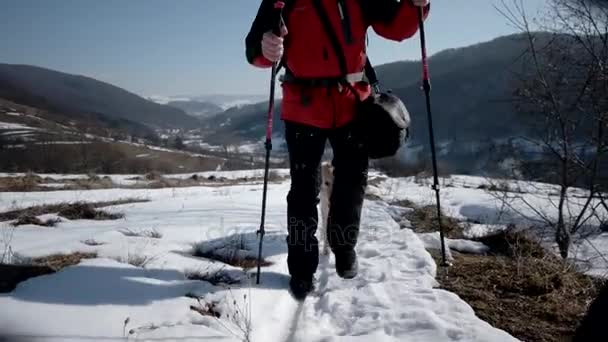 与狗金毛走在一个路径上雪-冬季山林徒步旅行 — 图库视频影像
