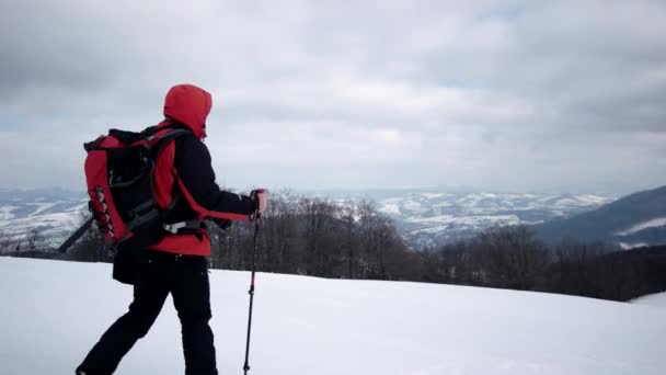 Піші прогулянки з собакою в засніжені гори в зимовий сезон — стокове відео