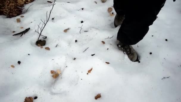 Man Walking Hiking Outdoor in Woods Forest Pov Overhead on Footsteps Shot — Stock Video