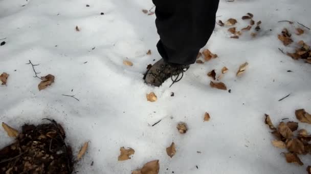 Человек прогулки пешком на открытом воздухе в лесу Pov леса Накладные расходы на шаги выстрел — стоковое видео