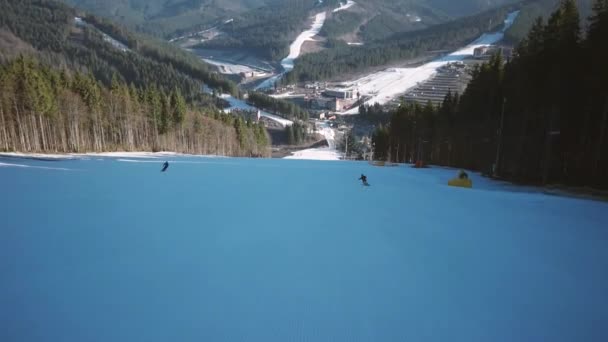 Profi-Skifahrer carven die schneebedeckten Hänge am Berg hinunter mit klarem Himmel und schneebedeckten Bäumen an der Seite — Stockvideo