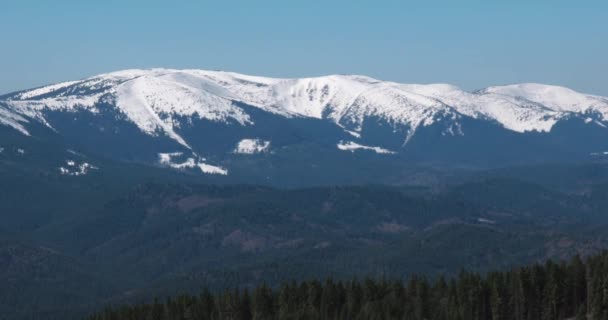 Pejzaż zimowy z drzew, Snowy góry i zasępia, Panoramowanie widoku — Wideo stockowe