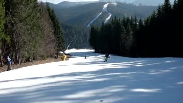 Sciatore professionista che scende le piste innevate sulla montagna con cieli sereni e alberi innevati sul lato — Video Stock