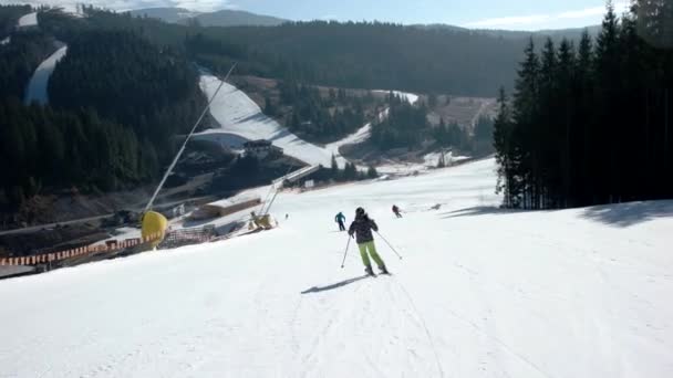 Esquiador profesional esculpido en las pistas nevadas de la montaña con cielos despejados y árboles nevados a un lado — Vídeos de Stock