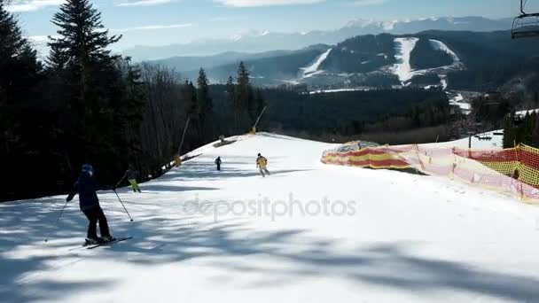 Profesionální lyžař Carving po zasněžených sjezdovek na hoře s jasnou oblohou a zasněžené stromy na straně