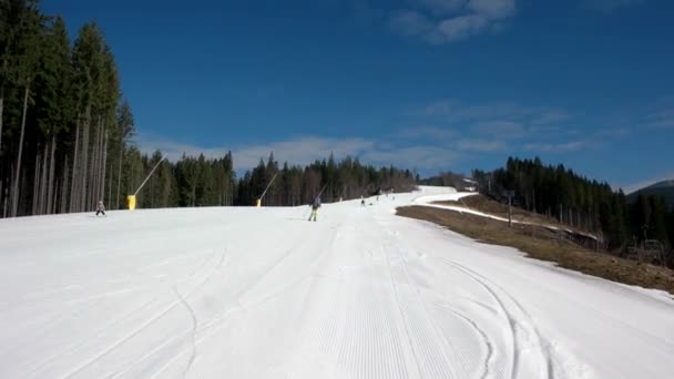 Skieur professionnel descendant les pentes enneigées de la montagne avec un ciel dégagé et des arbres enneigés sur le côté — Video