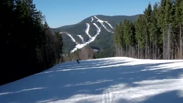 Skieur professionnel descendant les pentes enneigées de la montagne avec un ciel dégagé et des arbres enneigés sur le côté — Video