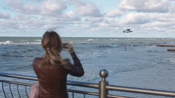 Mujer joven Observando las gaviotas en el mar — Vídeos de Stock