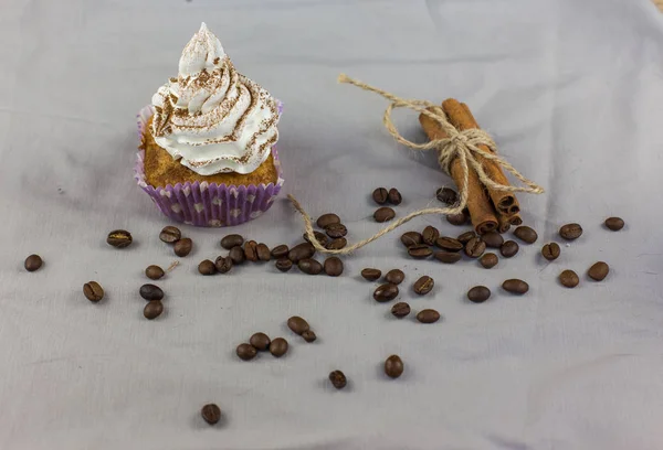 Tiramisu cupcakes házi — Stock Fotó