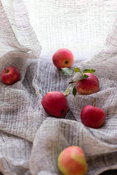Manzanas caseras rojas — Foto de Stock