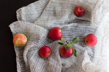 kumaş üzerinde kırmızı elmalar 
