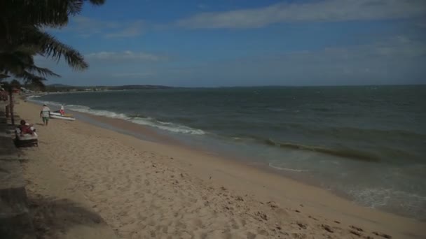 Vento scuote rami di palma piegati sulla spiaggia di sabbia contro il mare azzurro con riflesso della luce del sole cielo blu nuvole bianche. vitivinicola — Video Stock