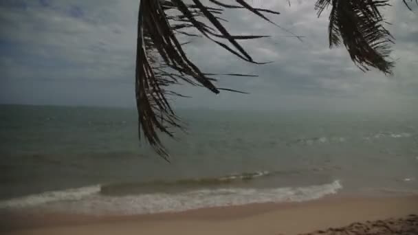 Wind schüttelt Palmenzweige, die sich über den Sandstrand gebeugt haben, gegen das azurblaue Meer mit Sonnenlicht, das blaue Wolken reflektiert. Vietnam — Stockvideo